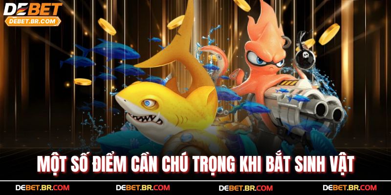 Một số điểm cần chú trọng khi bắt sinh vật