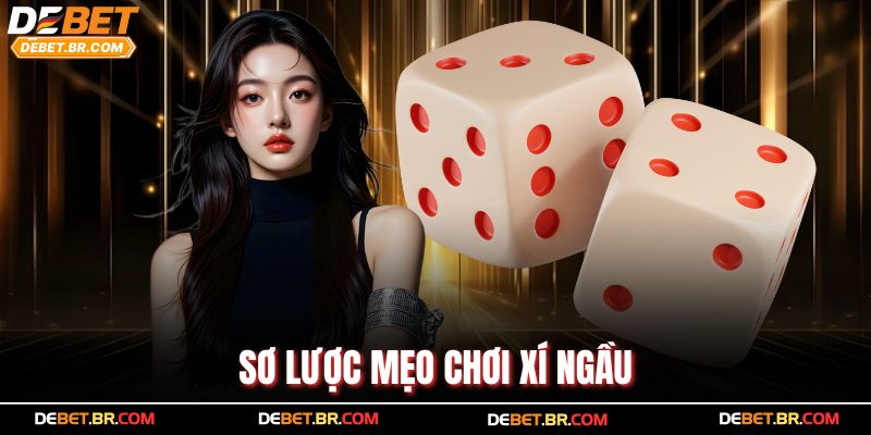 Sơ lược mẹo chơi xí ngầu